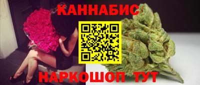 apvp Кингисепп
