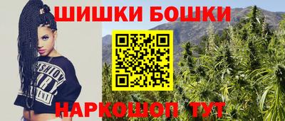 apvp Кингисепп