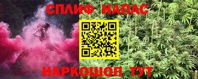 apvp Кингисепп